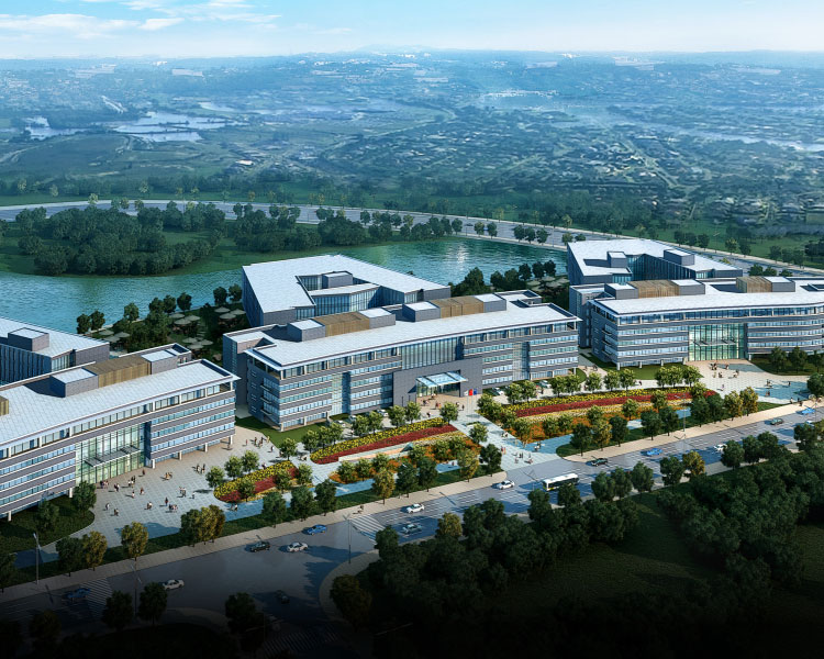 �й���������