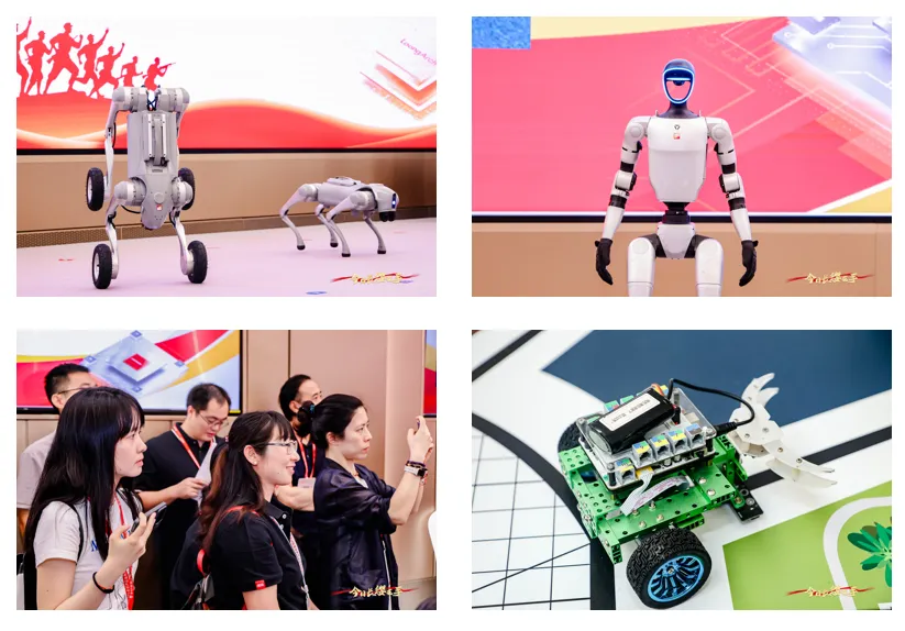 �й���������